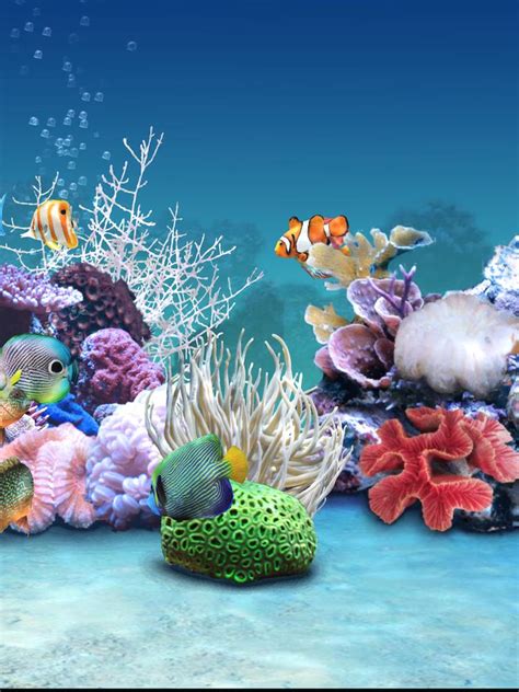 Free Dream Aquarium Screensaver Thisiswest