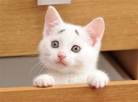 Create and share your memes online. Decision on new Wyoming coal mine due in August