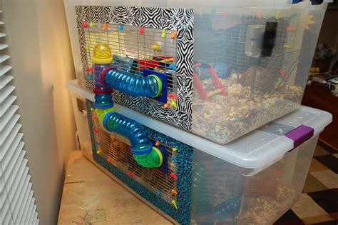 Diy Hamster Bin Cages You Can Build Today Pet Keen