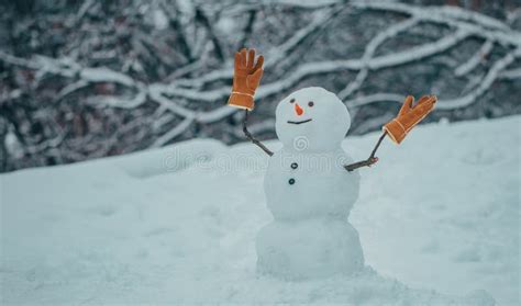 Snowman In Winter Park Snow Man Is Standing In Winter Park With Red