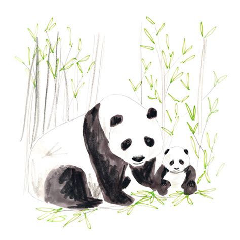 Panda Print By Jo Clark Design