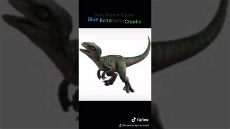 The Raptor Squad Blue Echo Delta Charlie Jurassic World Fallen Kingdom Youtube