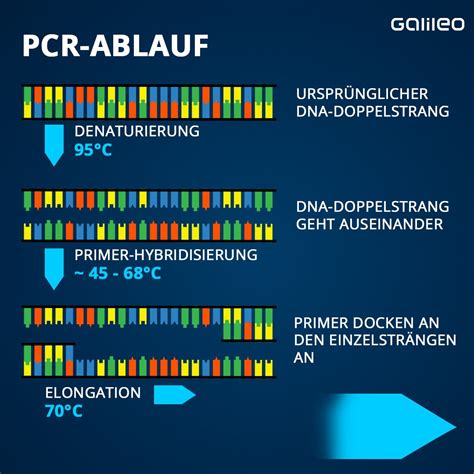 Ct-Wert im PCR-Test: Was bedeutet die Zahl beim Corona-Test? | Galileo