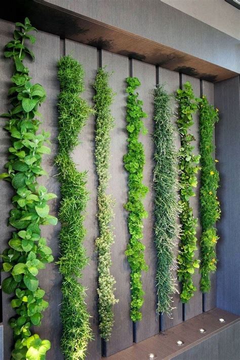 Vegetable Garden Wall Ideas