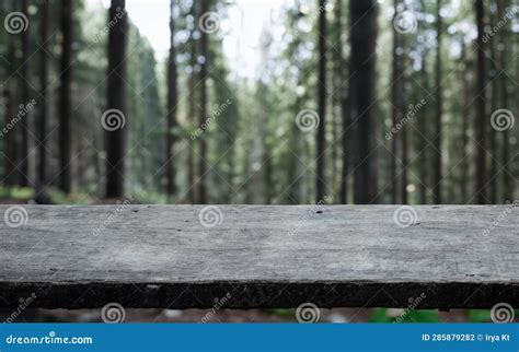 Discover The Serenity Of Natural Mountainous Grass Among The Pine Trees