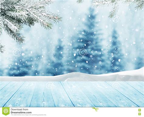 Winter Landscape With Snow And Christmas Trees Stock Image Image Of