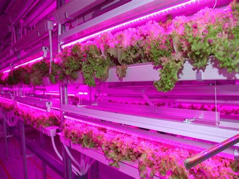 Looking for led grow lights for your indoor garden? ANTLUX 4ft LED Grow Light 80W Full Spectrum Integrated ...