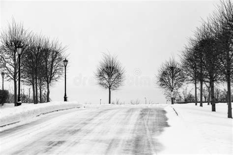 Snowy Park View With Frozen Road And Bare Trees In Winter Stock Image