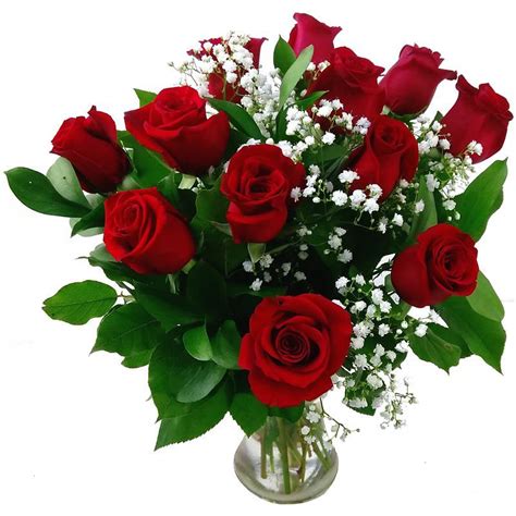 12 Luxury Red Roses Fresh Flower Bouquet Stunning Red Roses Hand