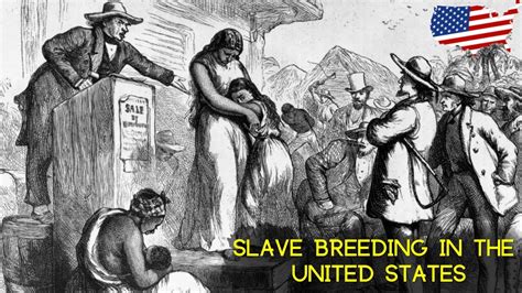 Slave Breeding In The United States Slavery Youtube