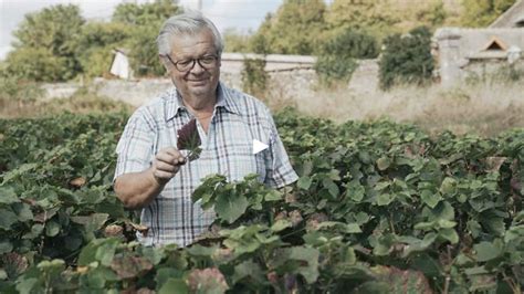 Bernard Morey le vigneron de la 9e génération Bourgogne Oldyssey