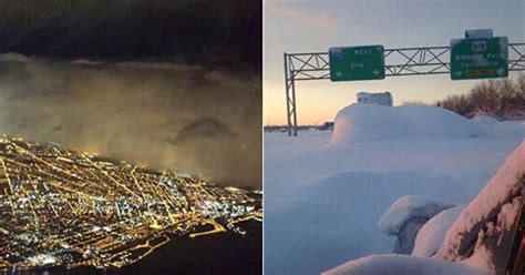 Otherworldly Photos Of Buffalo Buried In Snow Huffpost News