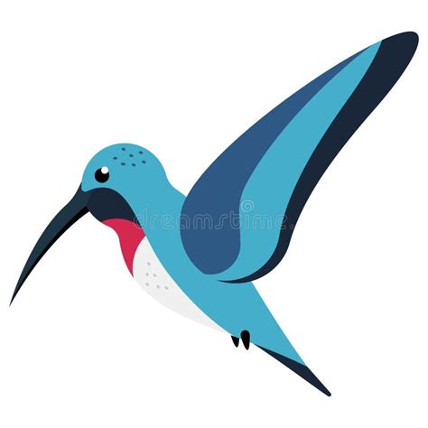 Hummingbird Vector Cartoon Illustration Stock Vector Illustration Of