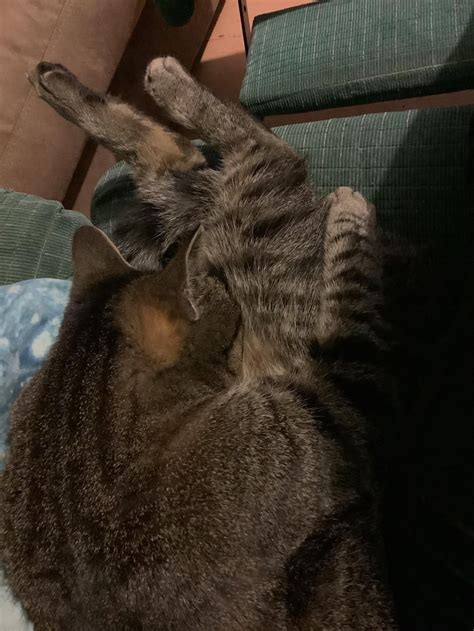 she fell asleep like this… 9gag