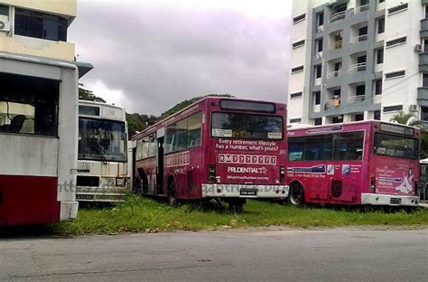 Rapid penang (styled as rapidpenang) is a public bus brand in the state of penang, malaysia. :: Koleksi Bas dan Truck ::: Transit Link Penang - Menemui ...