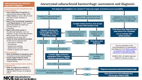 Overview Subarachnoid Haemorrhage Caused By A Ruptured Aneurysm