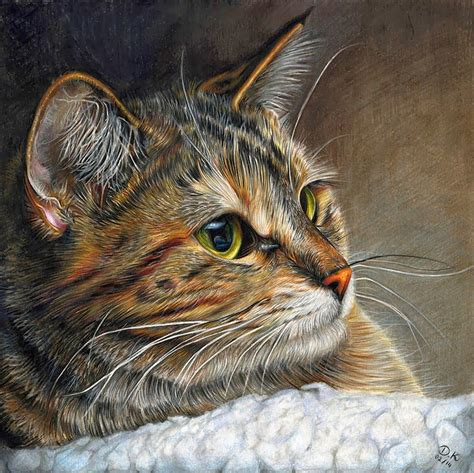 Contests And Giveaways February Cpm Art Challenge Portrait Of A Cat