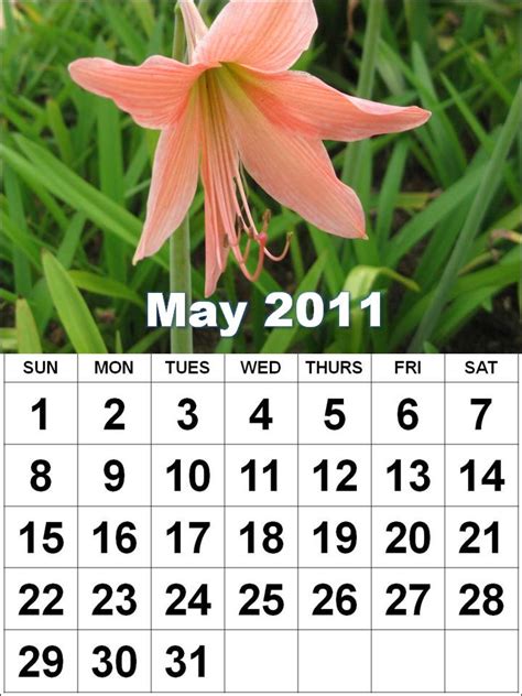 Wallalaf July 2011 Calendar With Holidays