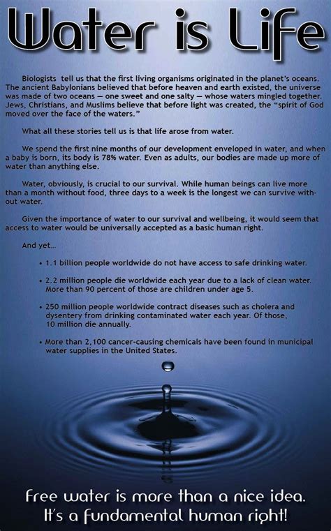 Why Is Water So Important To Life Meanoin