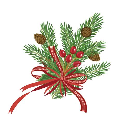 Christmas Pine Branches With Red Ribbon And Pine Cone Mistletoe Stock