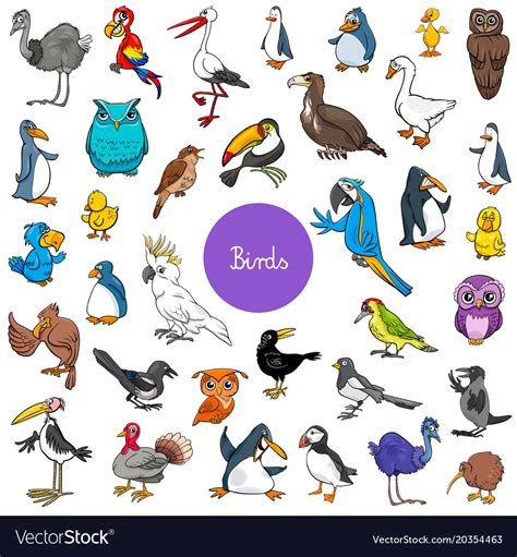 Cartoon birds animal characters big set Royalty Free Vector