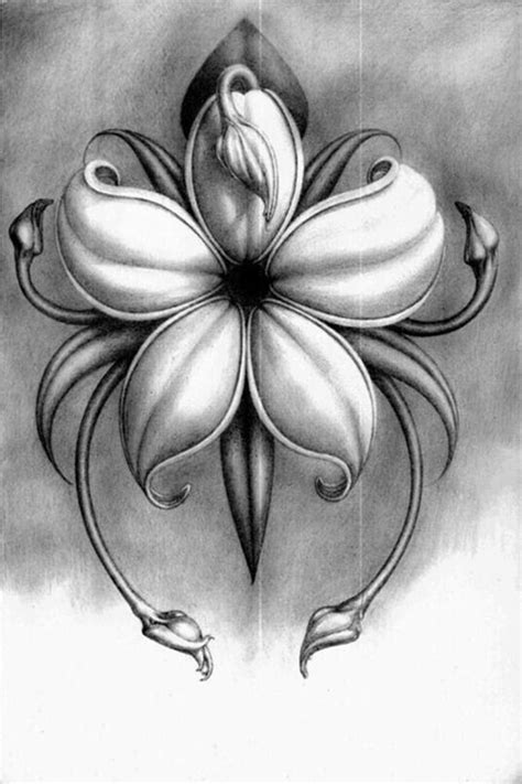 Pin By Min On Mural Work Pencil Drawings Of Flowers Flower Drawing