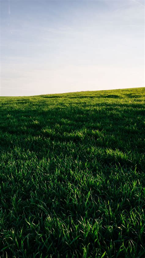 Wallpaper Grass Field Sky Green Horizon