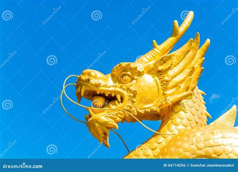 Powerful Golden Dragon Statue Stock Photo Image Of Golden Phuket