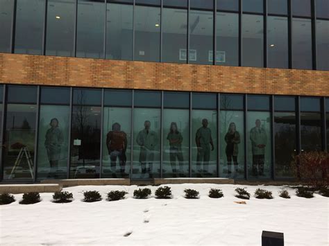 DMC Sinai Grace Windows | Fusion Marketing