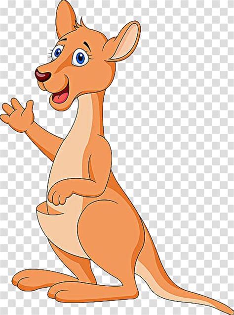 Download science png image with transparent background. Download High Quality kangaroo clipart transparent ...