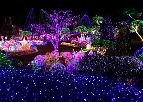 Celebrate Korea Winters Lighting Festival At Garden Of Morning Calm