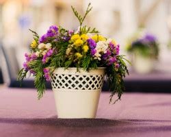 Each veni is 12 each. Top 10 Florists in Irving TX - Quick Flowers Delivery Service