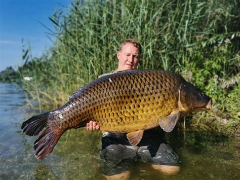 It is always important to research what you put in to your body, especially when it comes to nutritional supplements. Mega Erfolge mit Monster-Liver Mix - von Walter Wimberger ...