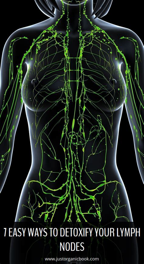 7 Easy Ways To Detoxify Your Lymph Nodes Lymph Nodes Natural