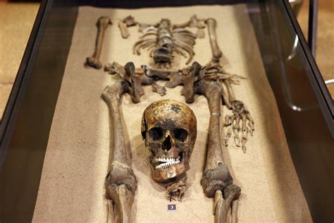 Gladiators close up - Corinium Museum