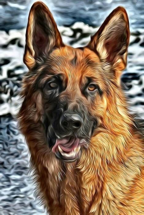 German Shepherd Dogs Illustrations Pins Art Art Background