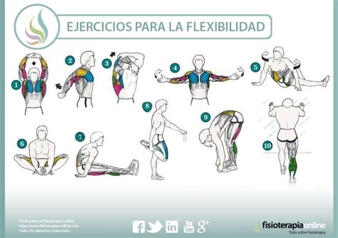 Los 3 Mejores Ejercicios Para Mejorar La Flexibilidad Vida Fitness