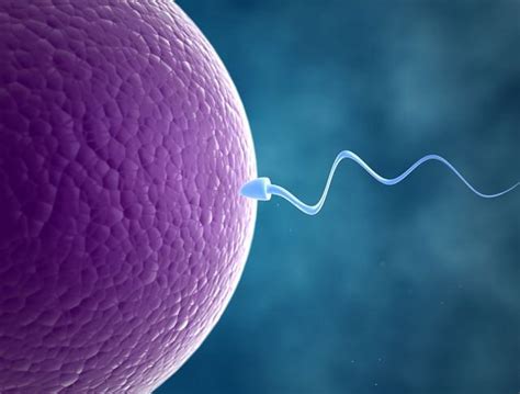 Sperma Może Pomóc Pokonać Komórki Rakowe