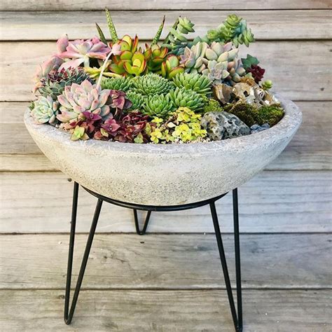 A Potted Plant Is Sitting On A Stand With Succulents In It