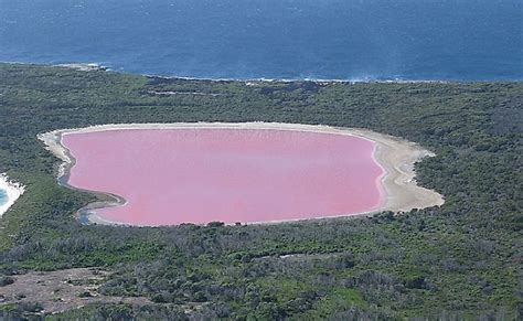 Why Is Lake Hillier Pink Worldatlas