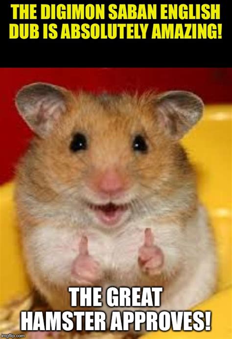 Thumbs Up Hamster Imgflip