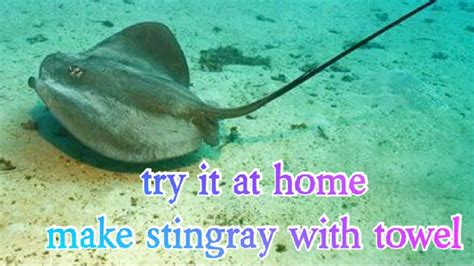 The Most Simple Creation How To Make The Stingray Youtube