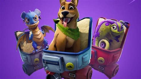 Fortnite Season 6 Pets Could Expand Games Audience Bbc News