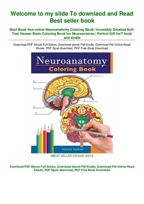 Best Recommend Book Neuroanatomy Coloring Book Incredibly Detailed