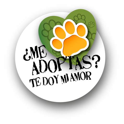 AdopciÓn Responsable De Mascotas Municipalidad De Junin