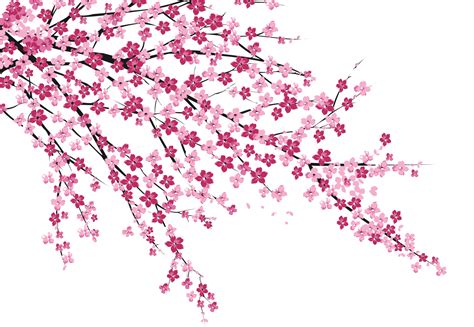 Spring Cherry Blossom PNG Clipart | PNG Arts png image