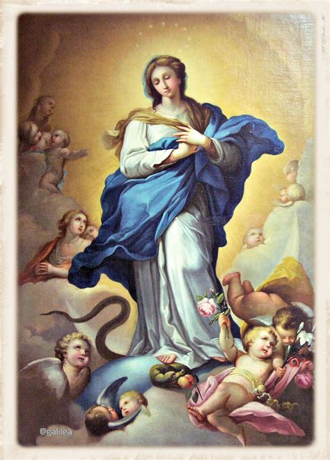 Pin De Hermina Dudás En Mary Arte Virgen María Inmaculada Concepción