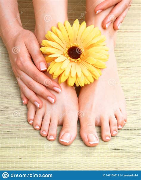 Closeup Photo Of A Beautiful Female Feet With Pedicure Stock Image