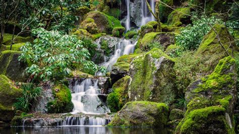 Portland Japanese Gardens 4k Wallpaper Waterfalls Green Moss Rocks