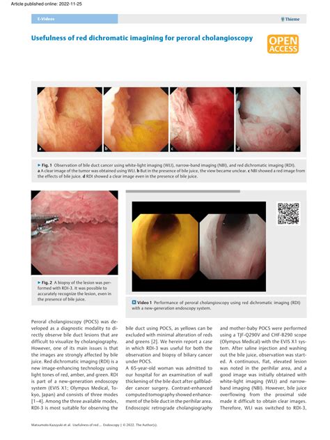 Pdf Usefulness Of Red Dichromatic Imagining For Peroral Cholangioscopy